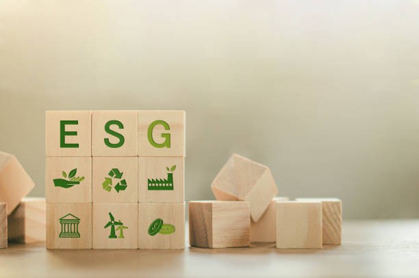 ESG Reporting vs Performance: Navigating through Complexities
