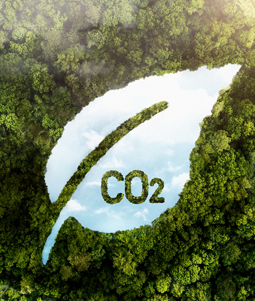 Net Zero Consulting & Carbon Management Consultancy by Corpstage
