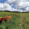 Mediterranean North & South Regenerative Agriculture 2023
