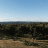 Monte Silveira Regenerative Agriculture 2022
