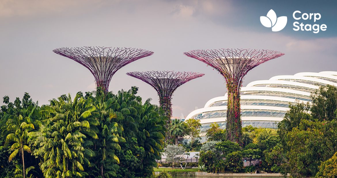 Sustainable Strategies Grants in Singapore