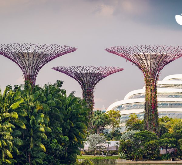 Sustainable Strategies Grants in Singapore