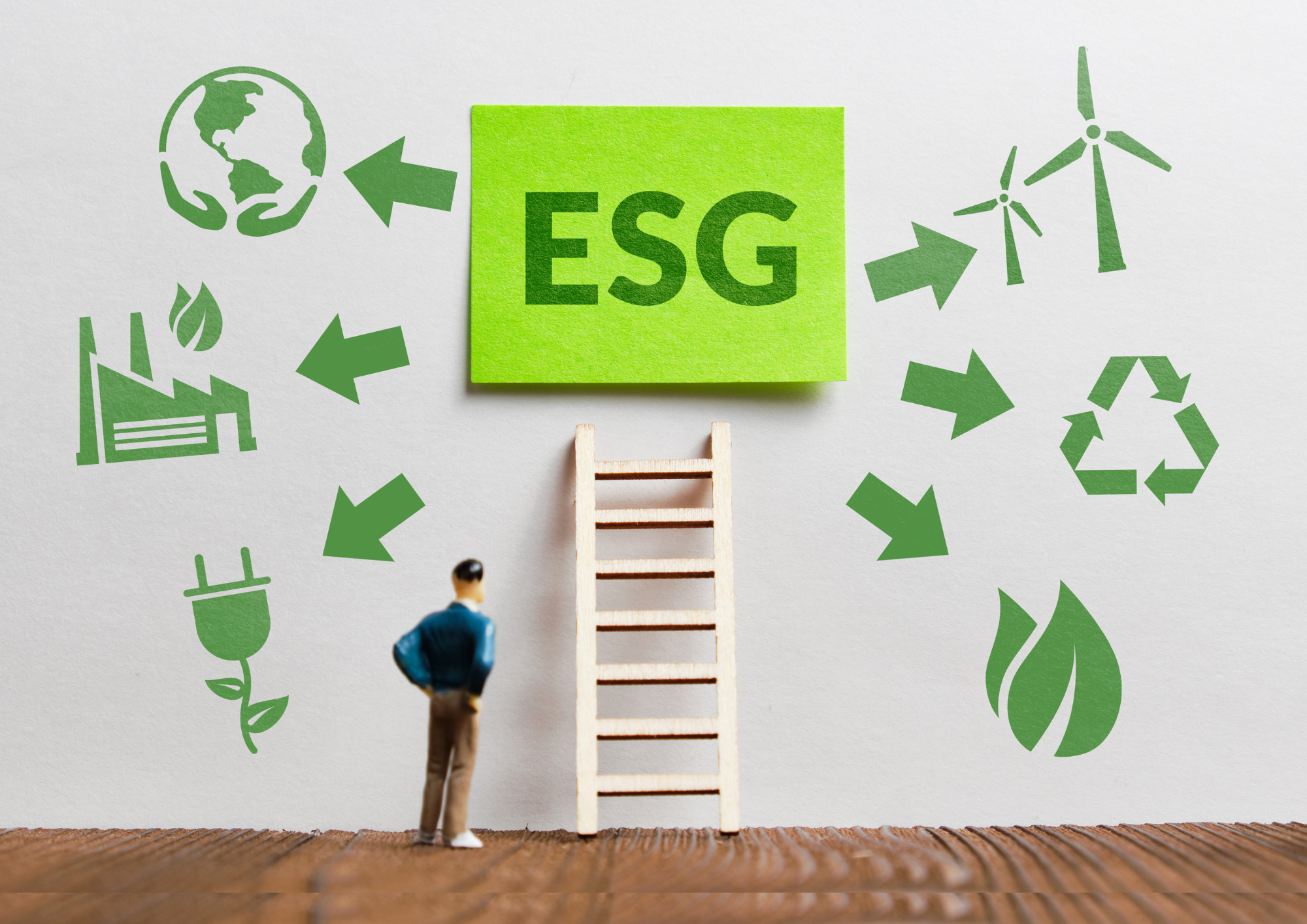 Masterclass: Strategies for Improved ESG Scores - 4 hours