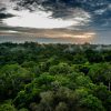Amazon Biome Redd+