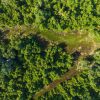 Otter Creek Improved Forest Management 2019