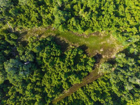 Otter Creek Improved Forest Management 2019