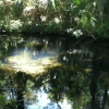 Otter Creek Improved Forest Management 2019 - Image 4