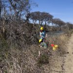 Travis County Afforestation