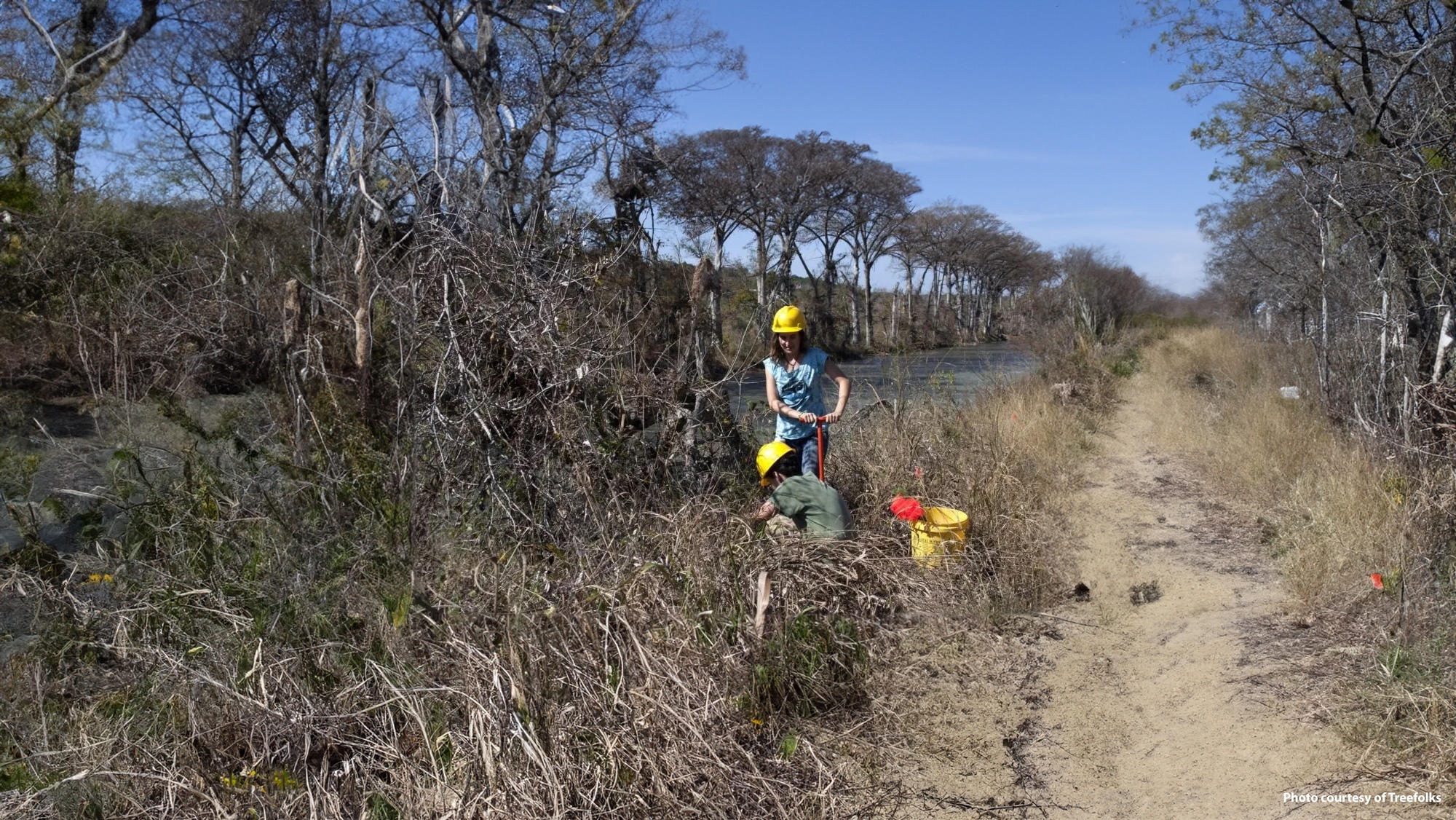 Travis County Afforestation