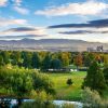 Treasure Valley Afforestation 2021