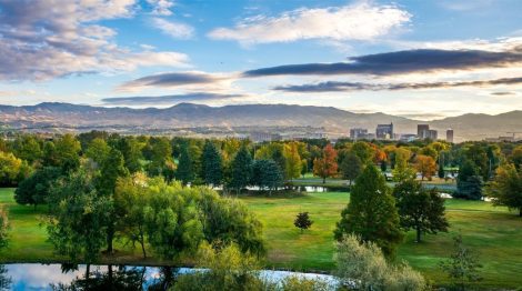 Treasure Valley Afforestation 2021